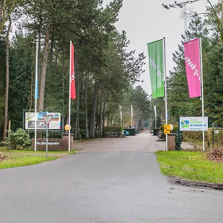 Casa vacanze Cozy W Terrace In The Middle Of The Forest In Veluwe
