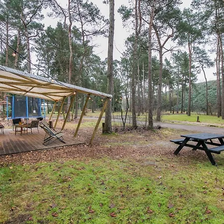 Tatil Evi Cozy W Terrace In The Middle Of The Forest In Veluwe Doornspijk