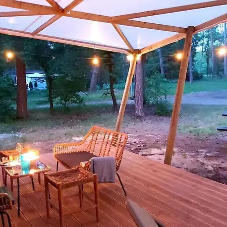 Cozy W Terrace In The Middle Of The Forest In Veluwe 別荘