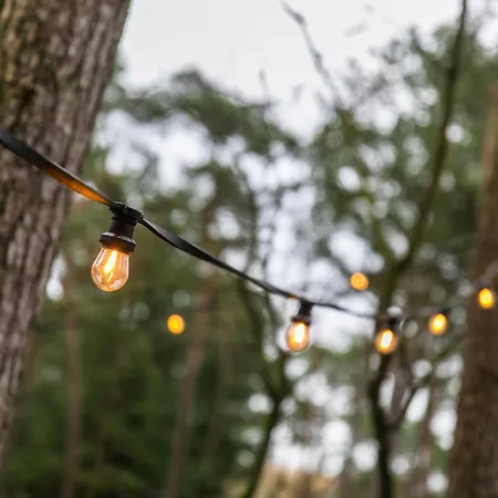 Cozy W Terrace In The Middle Of The Forest In Veluwe 別荘 Doornspijk