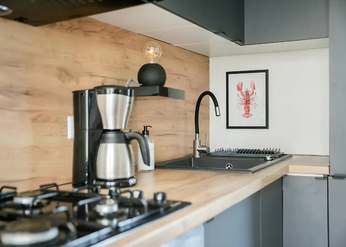 Cozy W Terrace In The Middle Of The Forest In Veluwe Doornspijk