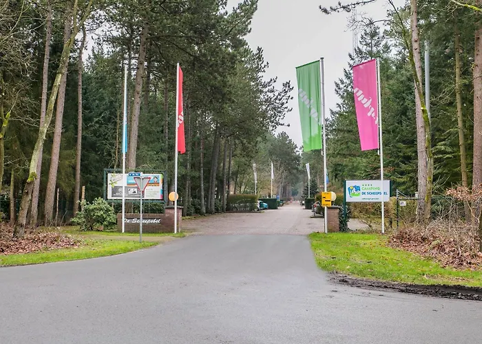 Casa vacanze Cozy W Terrace In The Middle Of The Forest In Veluwe