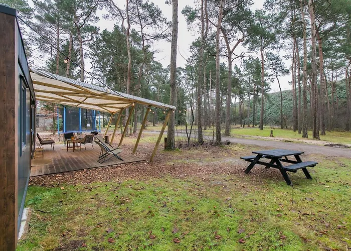 Casa vacanze Cozy W Terrace In The Middle Of The Forest In Veluwe Doornspijk