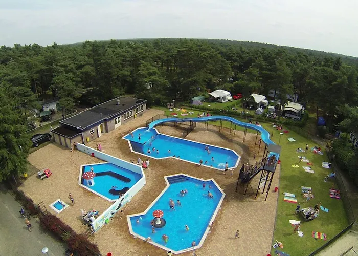 Casa vacanze Cozy W Terrace In The Middle Of The Forest In Veluwe Doornspijk
