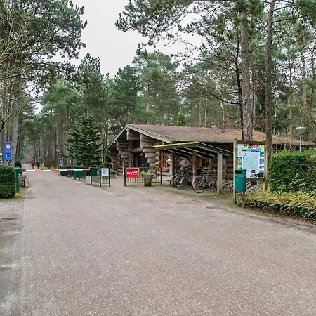 Cozy W Terrace In The Middle Of The Forest In Veluwe
