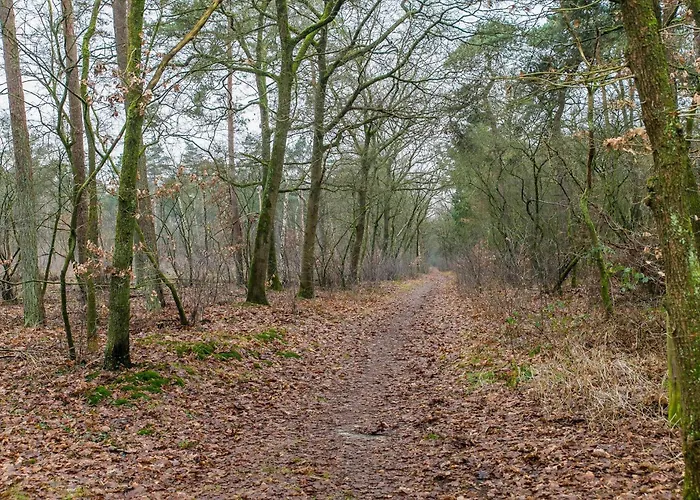 Cozy W Terrace In The Middle Of The Forest In Veluwe Дом отдыха