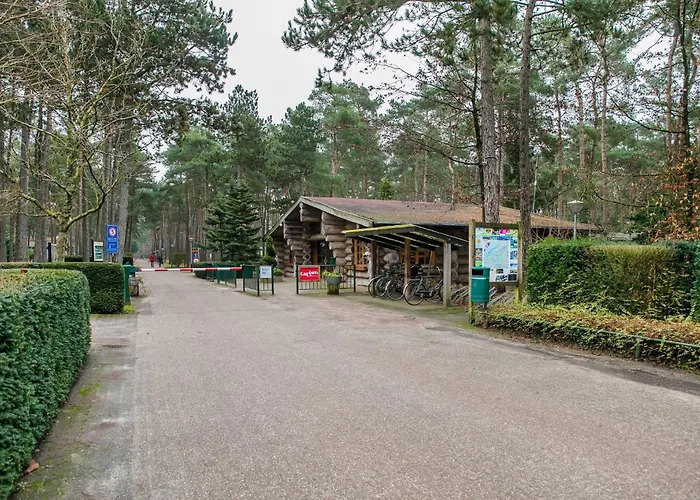 Cozy W Terrace In The Middle Of The Forest In Veluwe