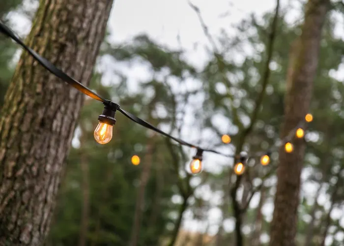 Cozy W Terrace In The Middle Of The Forest In Veluwe Дом отдыха Doornspijk
